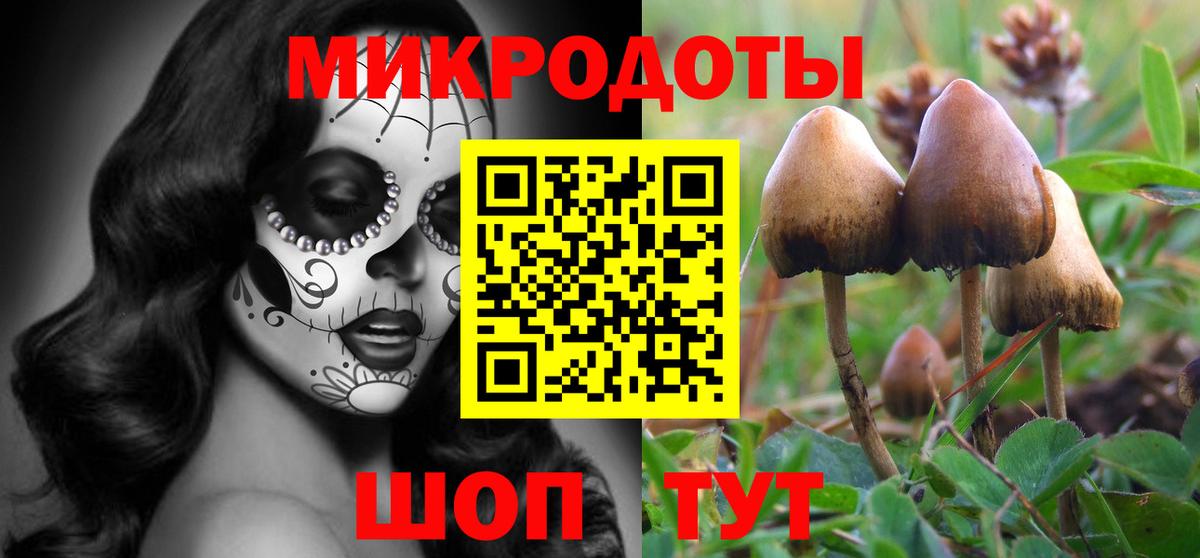 Галлюциногенные грибы Psilocybe  Галлюциногенные грибы Psilocybine cubensis  Вход с VPN  Ессентуки 