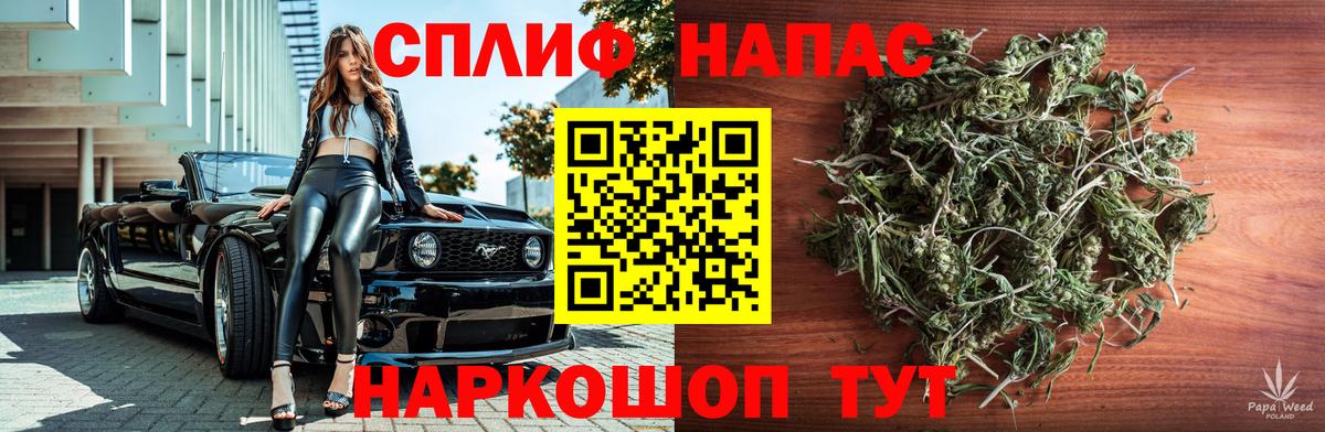 Бошки марихуана марихуана Ессентуки